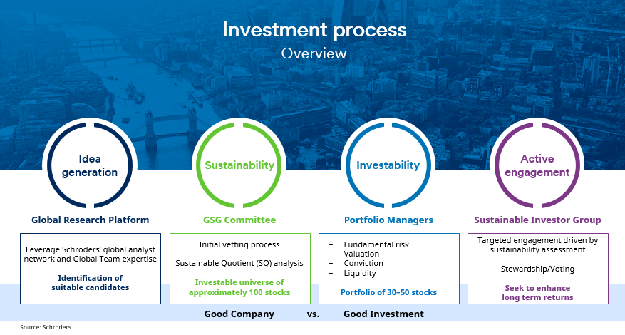 GSGinvestmentprocess