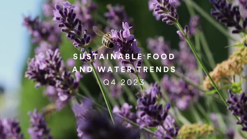 Política mundial y tendencias en alimentación sostenible y agua