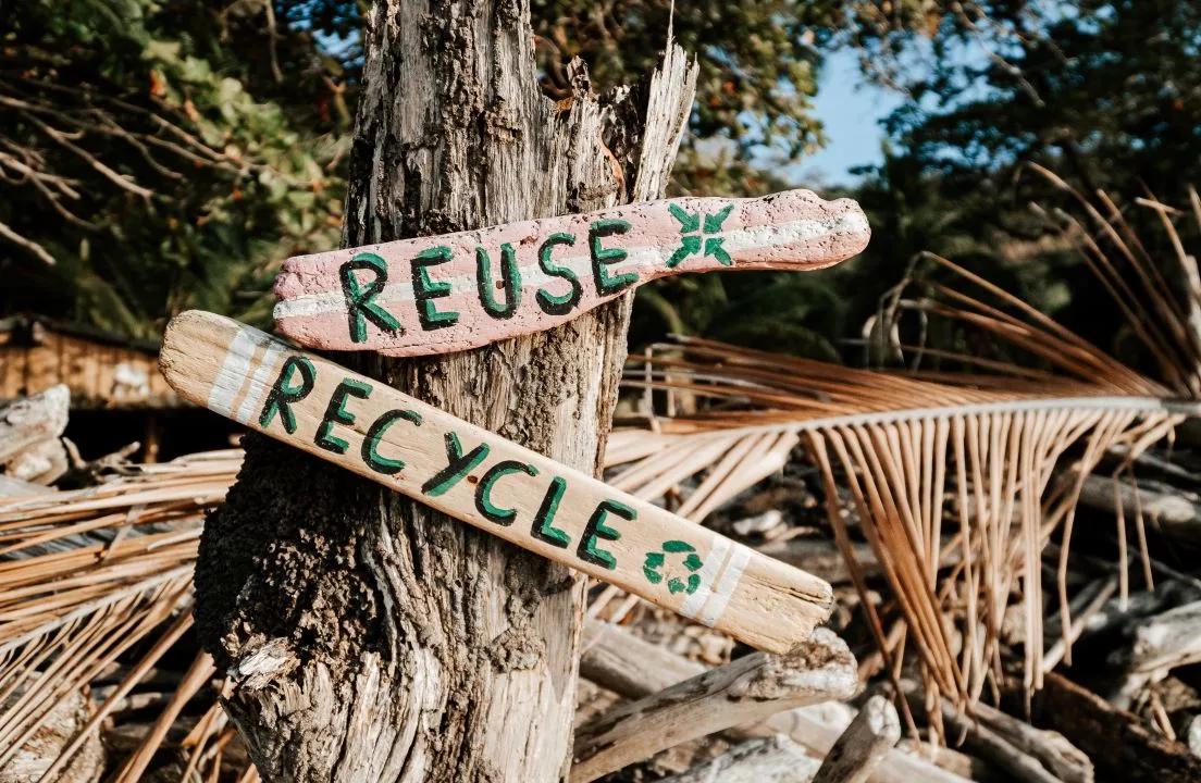 Photo of signs on tree saying reuse recycle