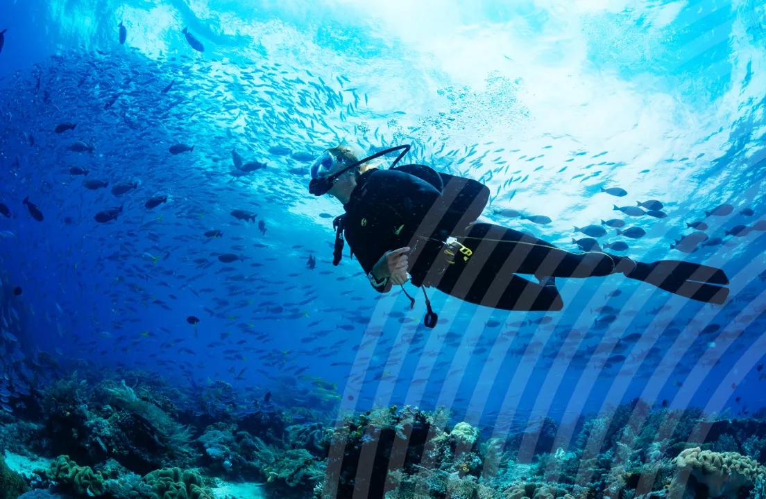 Photo of diver underwater
